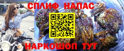 ГАЛЛЮЦИНОГЕННЫЕ ГРИБЫ Будённовск